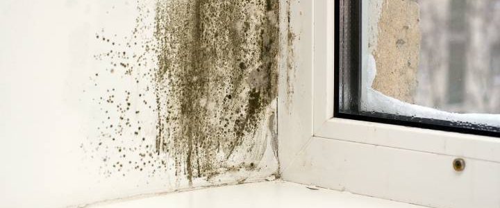 Wat is de impact van vochtproblemen op je gezondheid?